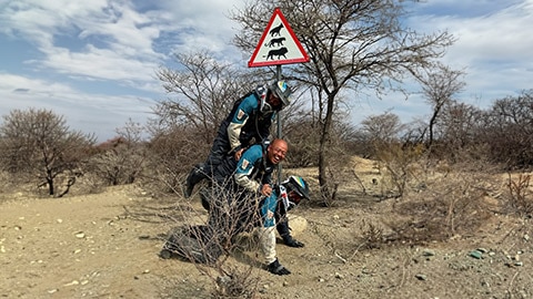 Het Japanse herenteam als menselijke piramide. De middelste coureur kijkt hierbij breed lachend in de camera.