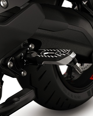 De instelbare voetsteunenset van de R 1300 RS van BMW Motorrad